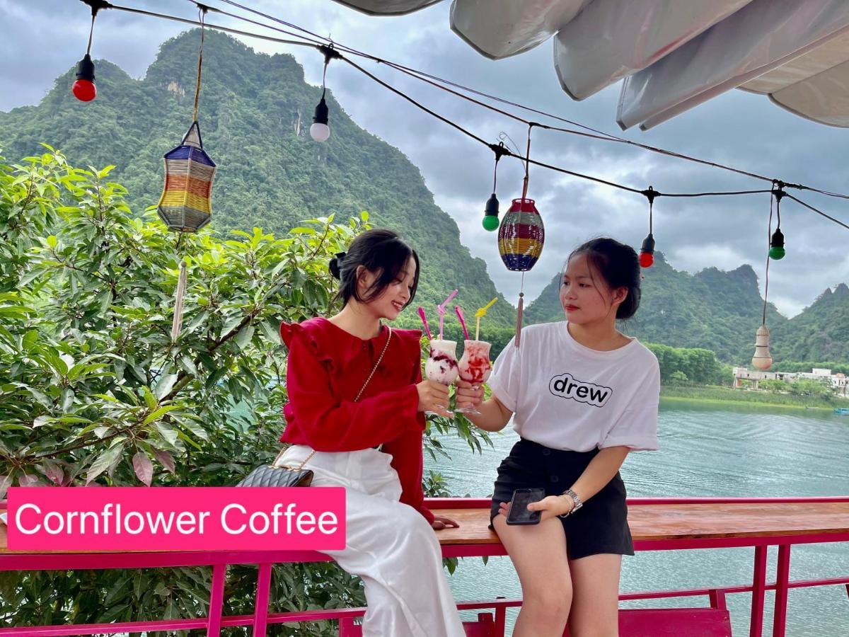 Cornflower Homestay Phong Nha Exterior foto